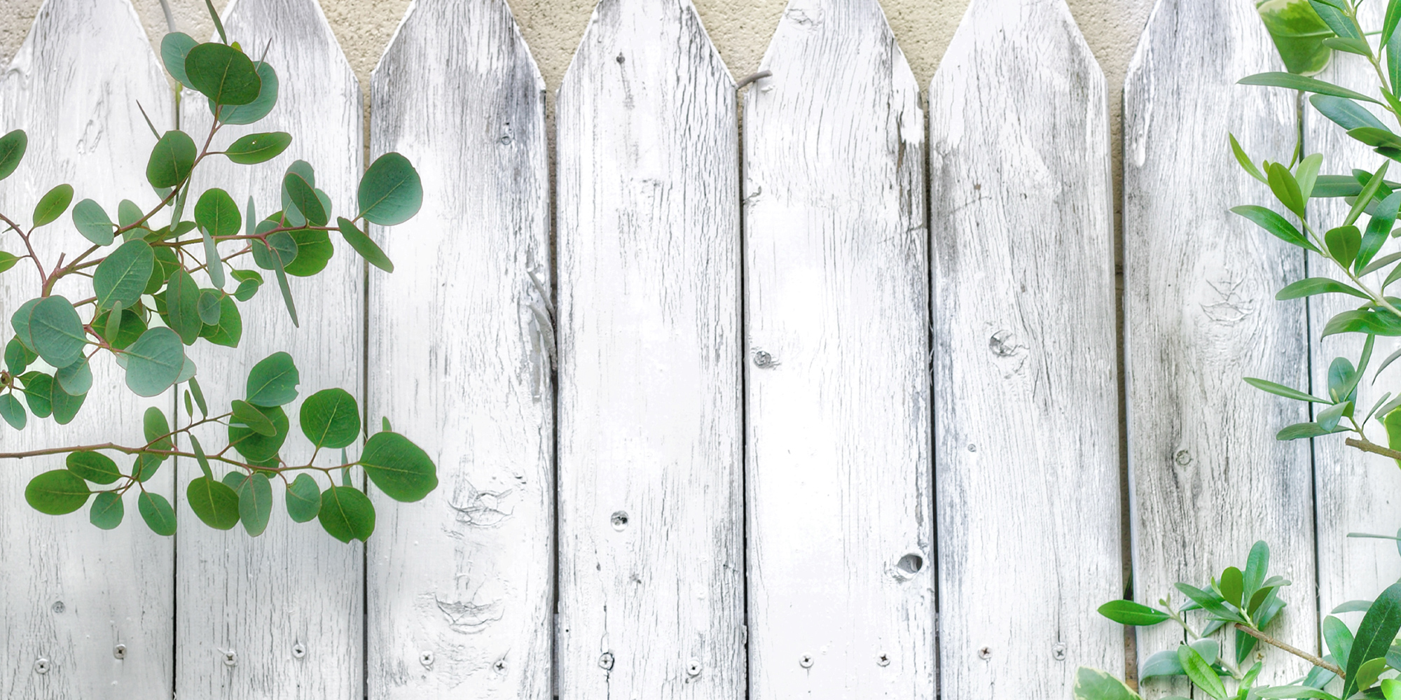 カットデザイン キロロ（Kiroro）